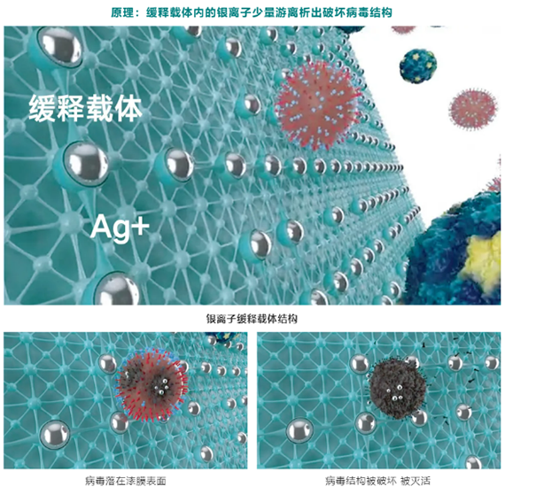 ClearShield银离子缓释抗病毒技术作用原理.png